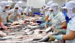 ماهی گیدر ارزان قیمت