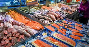 قیمت فیله ماهی گیدر در کرج